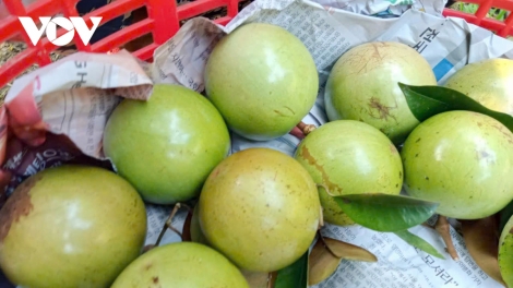 ពត៌មាន ម៉ោង ១៥