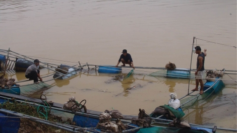 Khoa học kỹ thuật thiêz siv nênhx uô kôngz hnuz 13-8-2024