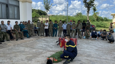 Dak Lak: Kuăn pơlê hbrâ mơdât chếo, tơpâ on chếo
