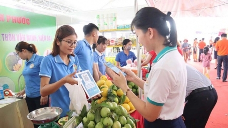 BINH PHUOC NGAN HAONG DANAK DAK SALIH PANDAR SO