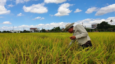 ពត៌មាន​ម៉ោង៦