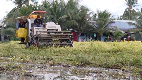 ពត៌មាន ម៉ោង ១៥