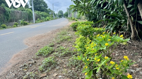 JALAN NAO TAL LABIK PALEI PALA BAHRAU KIEU MAU DI BA RIA – VUNG TAU