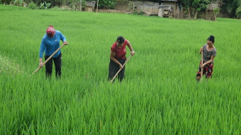 Chương trình phát thanh quam Tay thứ 2 mự 30 căm bườn 9 pì 2024.