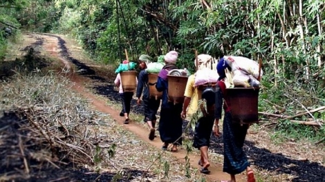 Khuyên con tăng gia sản xuất  