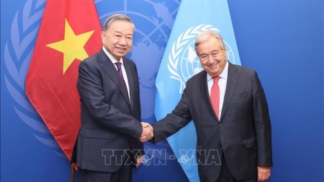 Khua gĭt gai Đảng, Khua lăn čar Tô Lâm bi tuôm hŏng Khua gĭt gai Êpul hgŭm lu ala čar