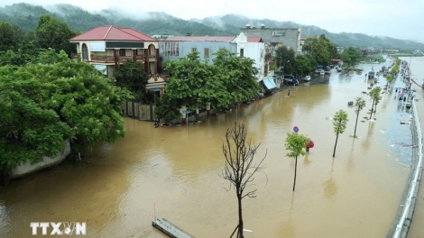 Sẽ trình phương án bù giảm thu ngân sách cho các địa phương bị ảnh hưởng bão