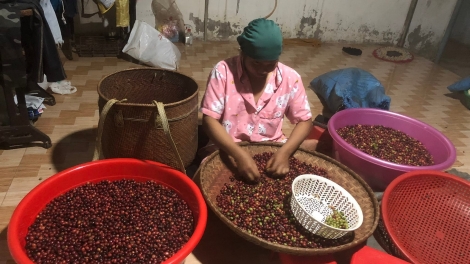 Drŏ kăn Di Linh-Lâm Đồng tơgŭm 63 ŭnh hnam yak hloh dơnuh