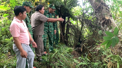 Xuất hiện nhiều vết nứt, sơ tán khẩn cấp hàng chục người ở huyện biên giới Tây Giang (Quảng Nam)