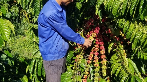 Mơdêk pêi tơƀrê tung ăm khu pêi cheăng tơrŭm kơnôm xúa khoa hok kŏng ngê̆