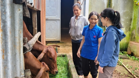 Đei lơ tơdrong jang sa tơgŭm kon pơlei klăih đơ̆ng dơnuh hin kơjăp