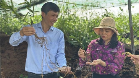 PALA PHUN JRU DI BHUM TANEH THU LAGU, URANG NGAK NONG MEK HU JIEN TY YAOK THUN