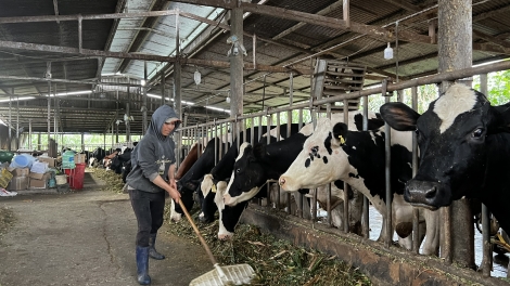 Tơdrong rơmo iŏk đak toh lôch lơ yua đơ̆ng ƀet vaccine: kon pơlei ưh kơ chu iŏk jên hrŭ mong tŏ sĕt dêh hnang