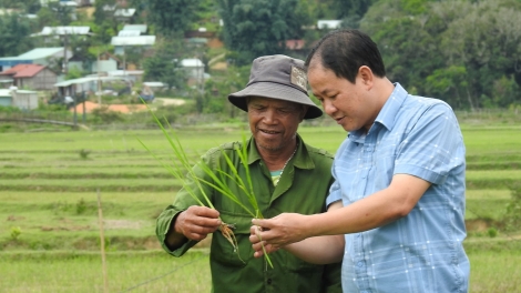 Dấu ấn từ cuộc vận động thay nếp nghĩ, đổi cách làm ở vùng dân tộc thiểu số Kon Tum