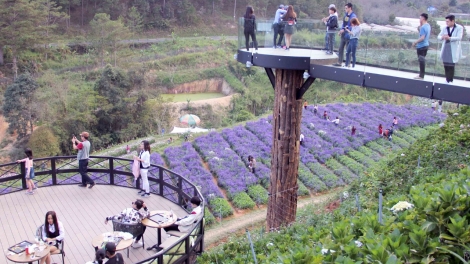 Lâm Đồng ruh mtlaih klei dleh mtrŭt mđĭ kyar bruă hiu čhưn ênguê ngă lŏ hma
