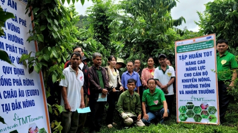 Khu hnê mơhnhôk cheăng tung kuăn pơlê kum mơdêk ki pơxúa ăm kơvâ ‘na kơphế