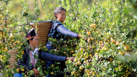 Rak vế tŭm hnoăng dêi kuăn mơngế ăm hdroâng kuăn ngo ki iâ mơngế