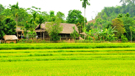 PHƯƠNG THIỆN - TỈ DƯƠNG CHỒM ĐÂY MJẢC DÚ HÀ GIANG