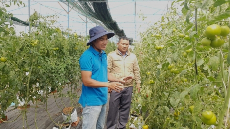 Lâm Đồng mâo êbeh 350 knơ̆ng bruă mơ̆ng mnuih djuê ƀiă ngă phŭn