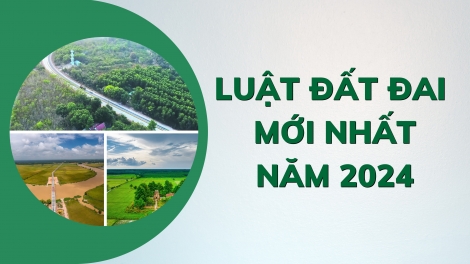 Quồi tỉnh duốn lénh hồ sơ kếu chaoz pến piêuz thez quýa sầu tầu đăng ký đào thâuz, kuaz cáp kếu đao can Luật đào thâuz hiáng 2024