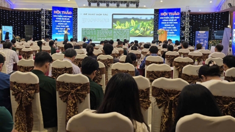 Rgum nchră mpeh công nghệ mrô “Make in Việt Nam” ta Gia Lai 