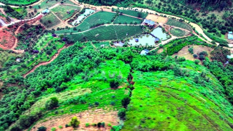 Nam čơđang dơlăm plah dua bôh kơdư prong ngă mơnuih ƀôn sang Lâm Đồng ƀu hơđong pran jua 