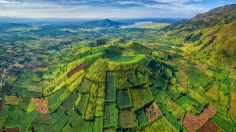 Phai paz nhây phiến