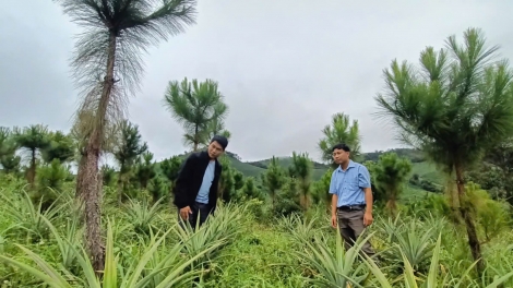 GA LỌP T’VIÊNG ZÊNG ĐHỊ K’TIẾC BHA ĐƯN LI LỨIH ĐOỌNG MANỨIH XƠ ĐĂNG VÊY PR’ẮT TR’MUNG TÊÊM NGĂN