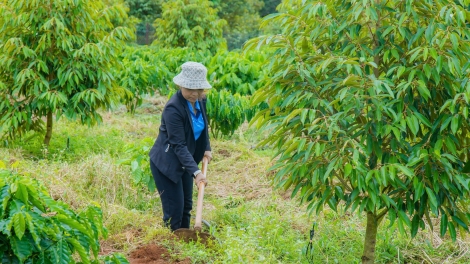 Anih mong jên Agribank găh Hơlĕch Gia Lai: Vang yak hơdai hăm kon pơlei jang chŭn mir klaih đơ̆ng dơnuh hin