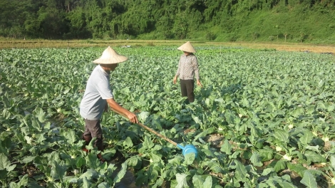  Chaoz tzuống lay, cấu tồng há lay