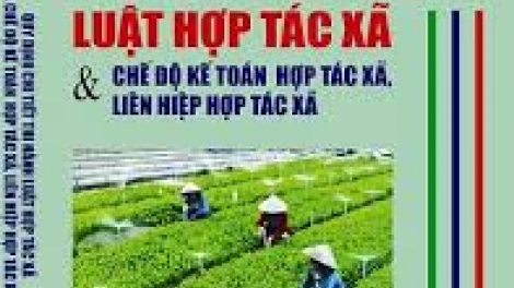 Chế độ kế toán hợp tác xã, liên hợp tác xã