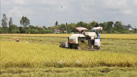 AGRIBANK JHUL PASAMAR BRUK BREI MESRE JIEN KA GAH KAYA NONG DI BHUM ĐBSCL