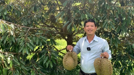 KỶ NGUYÊN VƯƠN MÌNH - Loạt bài "Định vị nông nghiệp Tây Nguyên trong chuỗi giá trị toàn cầu" - Bài 2: Nông nghiệp Tây Nguyên rạo rực trên những con tàu số hóa