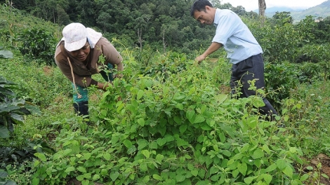 Bơtàu tơngguh mờ rơcăng lài sơm kòp ai tờm chi lơh sơnơm tàm càr Kon Tum