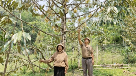 ĐHA NUÔR DA DING QUẢNG NAM PA DƯR TR’MÔNG TƠỢ NANG CHR’NOH, BHƯƠN A TÔNG