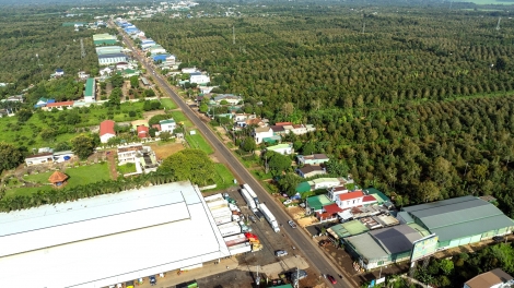 KỶ NGUYÊN VƯƠN MÌNH - Loạt bài "Định vị nông nghiệp Tây Nguyên trong chuỗi giá trị toàn cầu": Nông nghiệp Tây Nguyên tiên phong kiến tạo