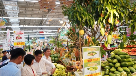 Phai paz nhây phiến