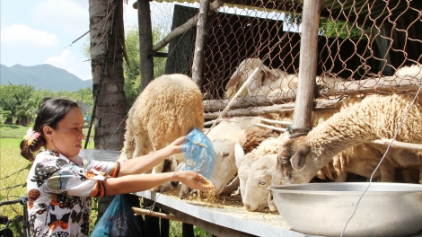 BRUK RAONG PABO HU BA JIEN MEK TAME KA URANG KUMEI KATHAOT BANGSA RAGLAY  