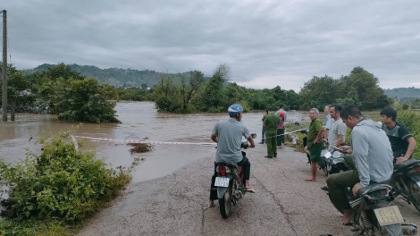 Tơniăn ăm 315 rơpŏng kuăn pơlê ki ôh tá ai troăng prôk xua kong mêi têa lân lu a Gia Lai