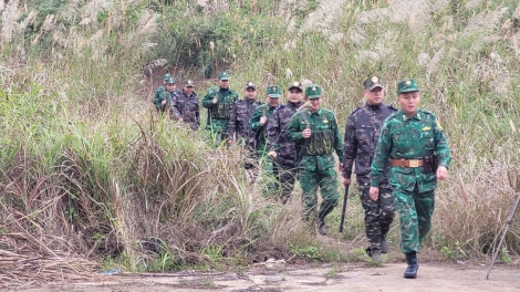 Lạng Sơn: Bảo đảm phối hợp hiệu quả giữa Biên phòng, Hải quan