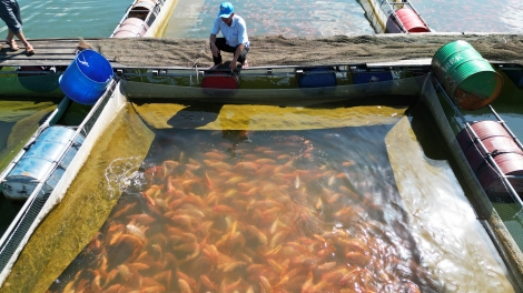 LIÊM CHOOM TƠỢ BH’RỢ VĂN A’XIU ĐIÊU HỒNG CÓH A’BÓC BHA NẬ ĐÁC DA DING K’COONG BÌNH ĐỊNH