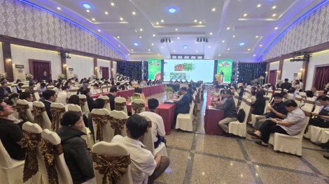 Pal geh gùng dà broă lơh nàng Tây Nguyên brồ să gơs tiah lơh broă sa suơn sre pa