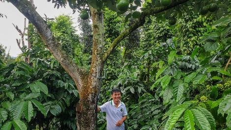 Pêi chiâk deăng Tây Nguyên djâ troăng ahdrối mơjiâng