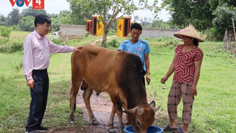 ធ្វើឲ្យសម្បូណ៌បែបរបរចិញ្ចឹមជីវិតដើម្បីបន្ថយភាពក្រីក្រចីរភាពនៅស្រុកភូតឹង ខេត្តអាងយ៉ាង។