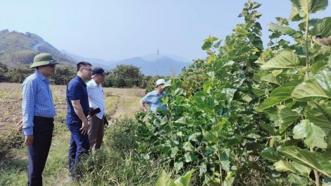 Pêt loăng yâu păn hdrong ƀă mâu tơdroăng pơchân ‘na kih thuât tung rak ngăn, hbrâ mơdât pơreăng kâ ‘nhiê a loăng yâu păn hdrong