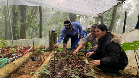 Luât Tơnêi 2024 pro tíu ngăn luât mơnhông pêt tơmeăm ki ê pá kơdâm loăng kong Tây Nguyên