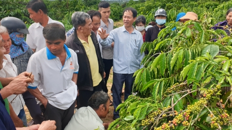 Dôh rklaih âk wăk kol gay Lŏ mir Tây Nguyên hun hao nâp nâl 
