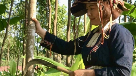 Làn nhiếu miền tzấu nhàng thun hênz