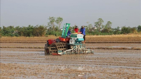 TIEN GIANG PATAGOK 22.000 HA TANEH NGAK HASA JANIH PALA ASAR SIAM 