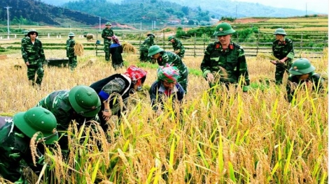 Jơnau lồi poh: "Pơnyờ să bè Ling klàng làng bol Việt Nam"